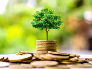 Finastra and EcoTree collaborate on a carbon neutral future